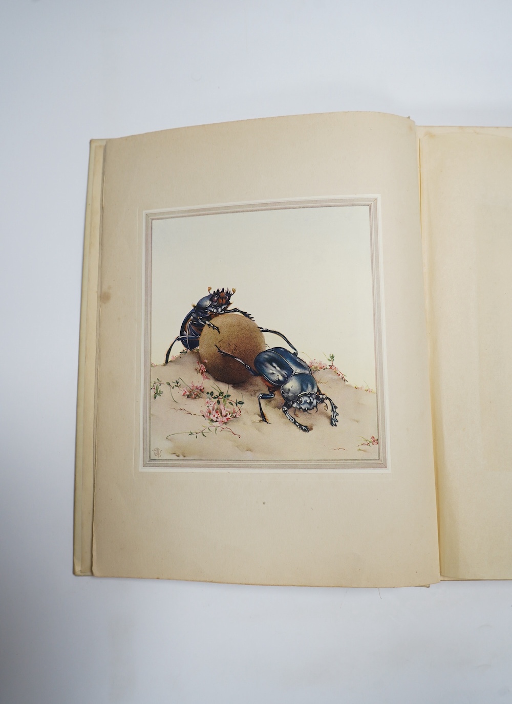 Detmold, Edward Julius (illustrator) - Maeterlinck, M, translated by A. Teixeira de Mattos - Hours of Gladness, with 20 colour plates, 4to, cream cloth gilt, George Allen & Co, Ltd., London and Dodd, Mead & Company, New